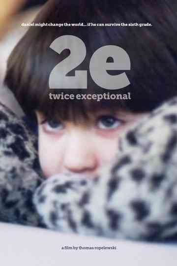 2e: Twice Exceptional Poster