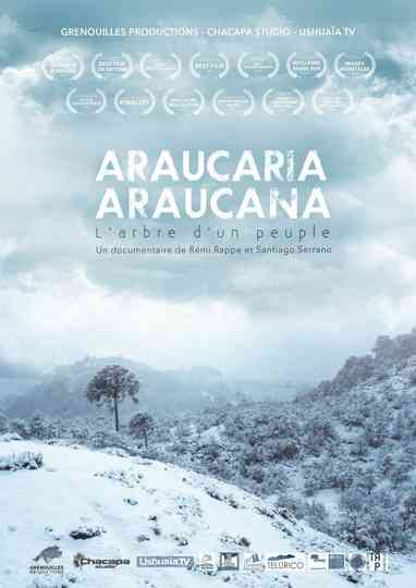 Araucaria Araucana Poster
