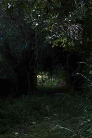 Dove Non Siamo Stati Poster