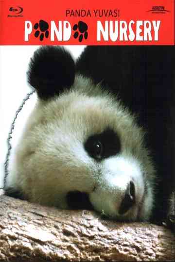 Panda Nursery Poster