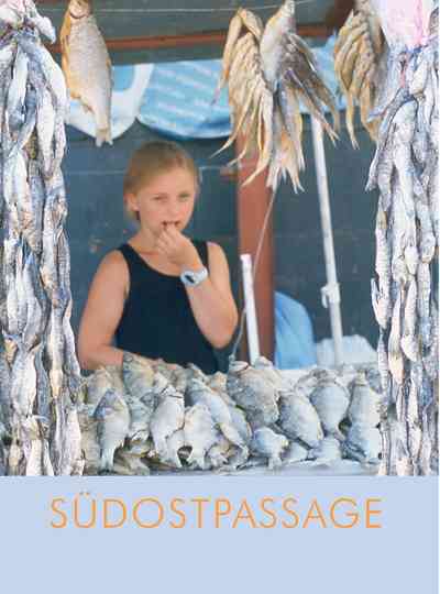 Southeast Passage Poster