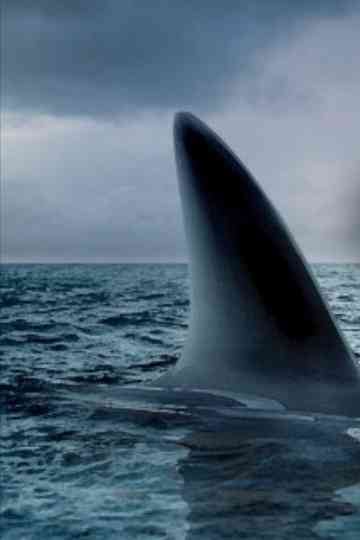 Ocean of Fear Poster