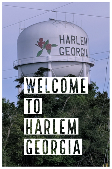 Welcome to Harlem Georgia Poster