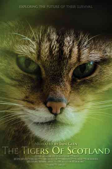 The Tigers of Scotland Poster