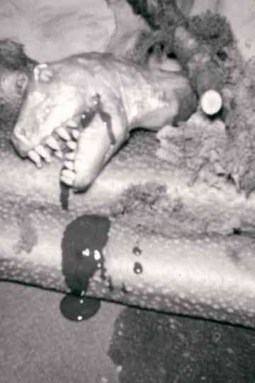 Tor King of Beasts Poster