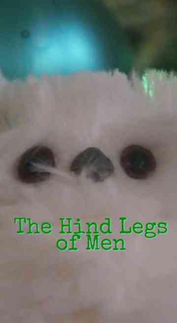 A Christmas Story The Hind Legs of Men Their Only Legs Poster