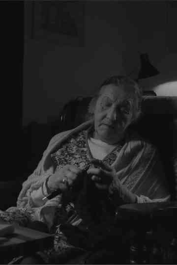 The Domestic Fly Poster