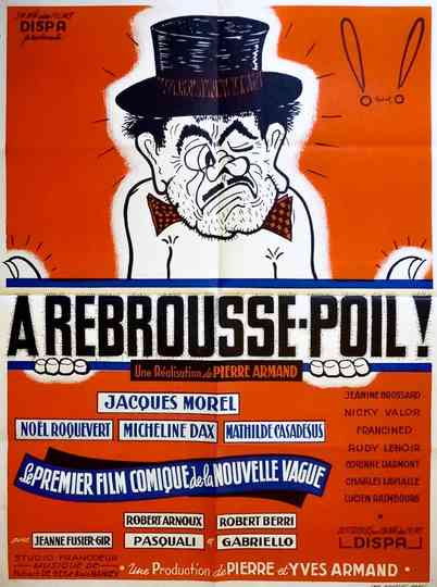 À rebroussepoil