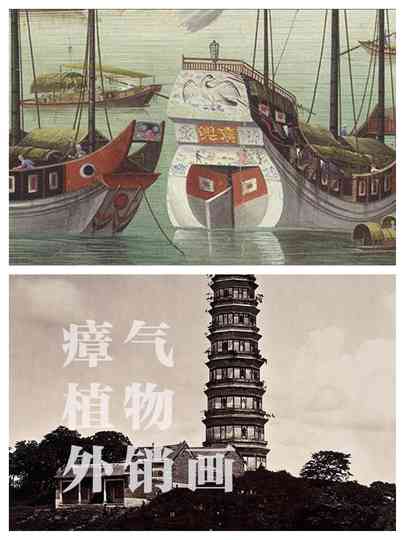 Miasma Plants Export Paintings Poster