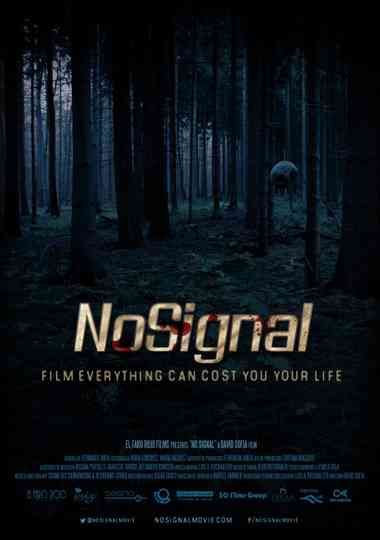 No Signal Poster