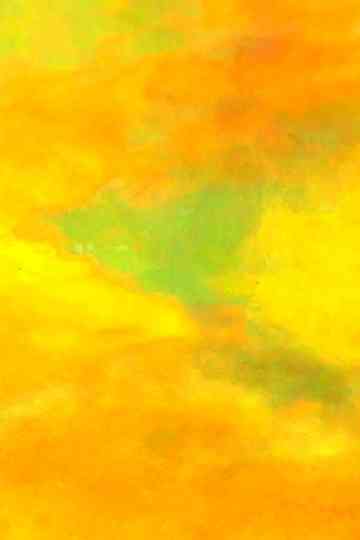 Or  Our Budapest Poster