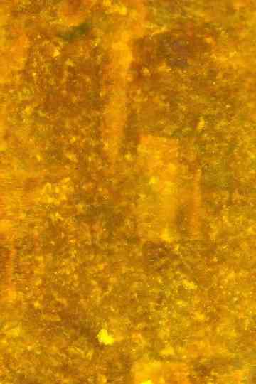 Or  Or Hawick Poster