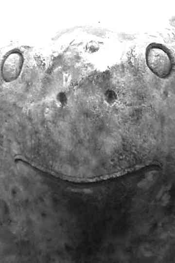 Fireworks Sketch Poster