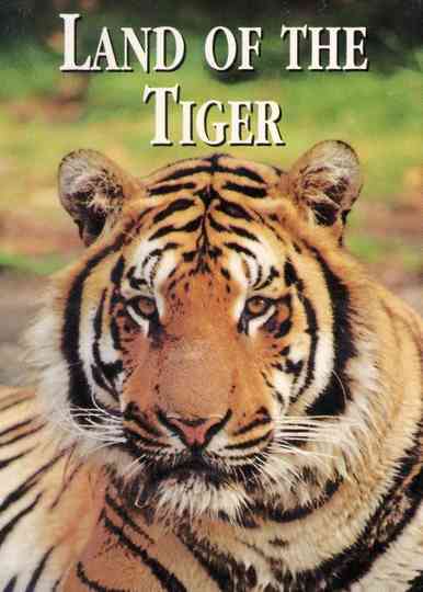 National Geographic: Land of the Tiger Poster