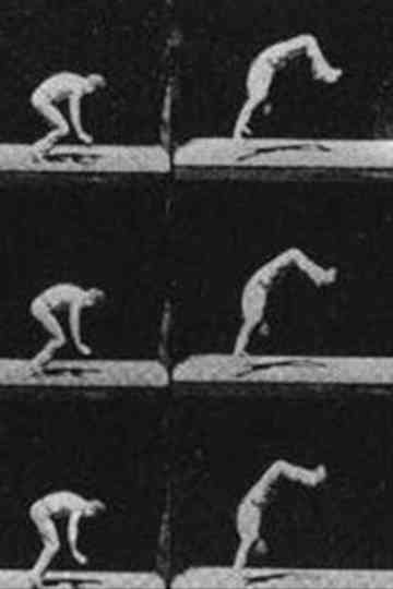 Unsuccessful Somersault Poster