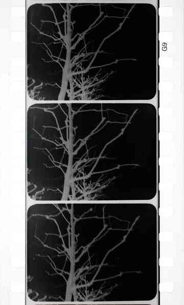 Arborescent Games: Fugue in Minor Poster