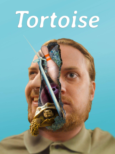 Tortoise