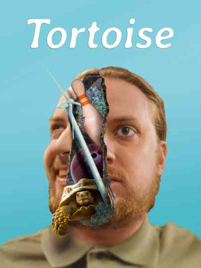 Tortoise Poster