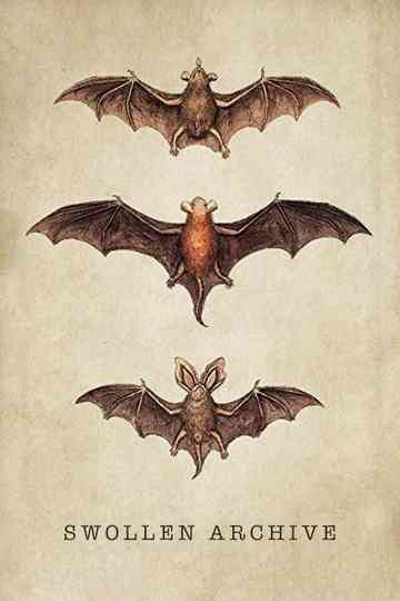 Swollen Archive Poster