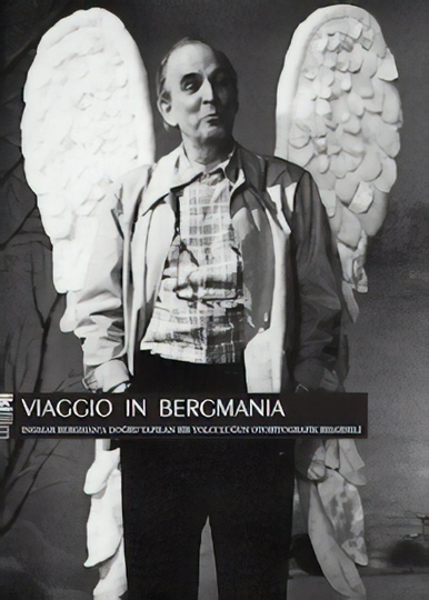 Viaggio in Bergmania