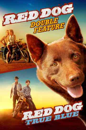 Red Dog Collection Poster
