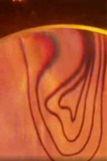 Mouvance exquise ou voyage intérieur Poster