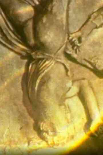 À la recherches des Amazones Poster