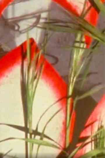 Monodie parsemée Poster