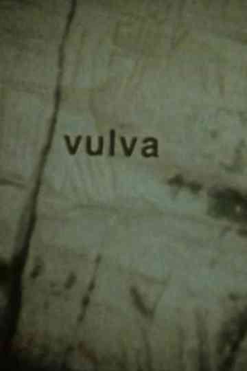 Vulva Poster