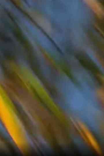 Gigue sur les rives Poster