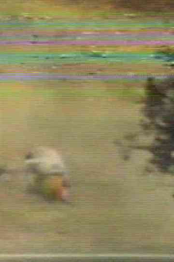 Made for Denise Poster