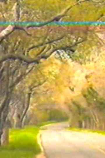 Brooding Angels Poster