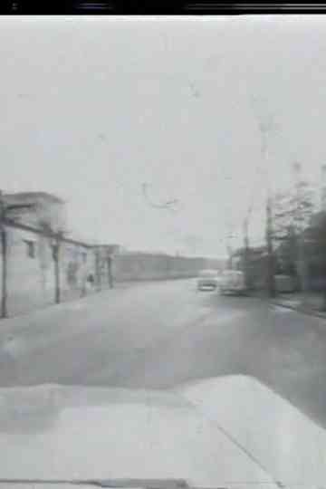 Zavoli incontra Basaglia: I giardini di Abele Poster