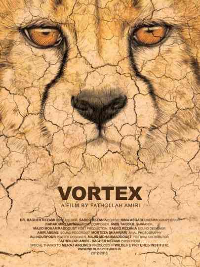 Vortex Poster