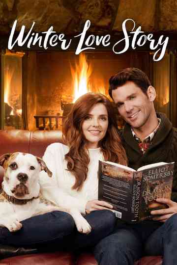 Winter Love Story Poster