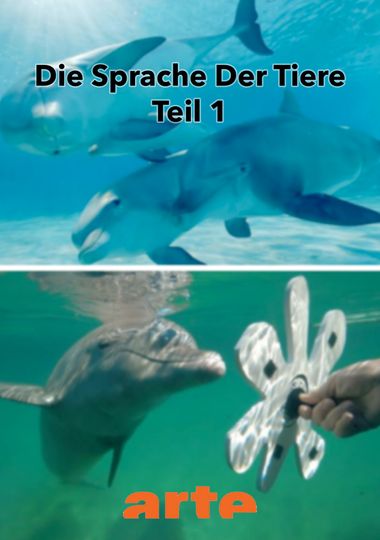 Die Eloquenz der Tiere 12