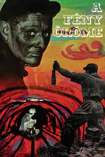 The Joy of Light Poster