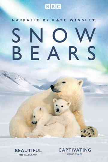 Snow Bears Poster