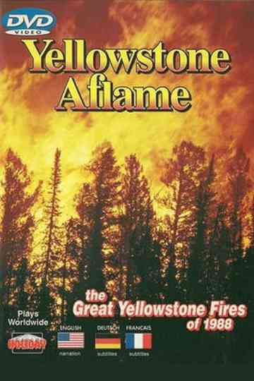 Yellowstone Aflame Poster