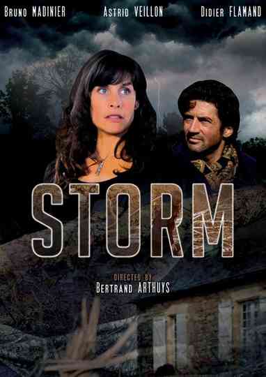 Storm Poster