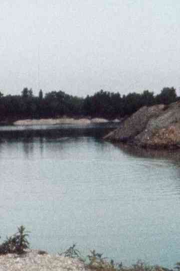 Les Ronds dans leau Poster