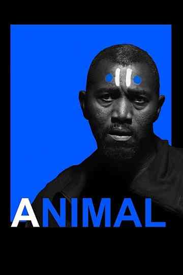 Animal Poster