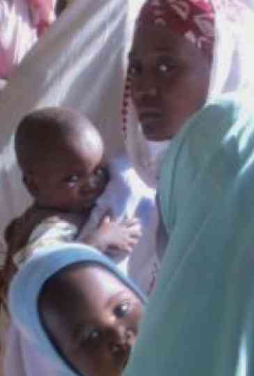 The Edge of Joy Poster