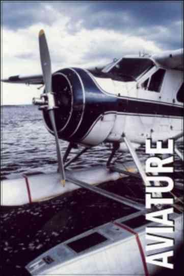 Aviature Poster
