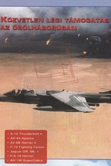 Combat in the Air - Close Air Support in the Gulf