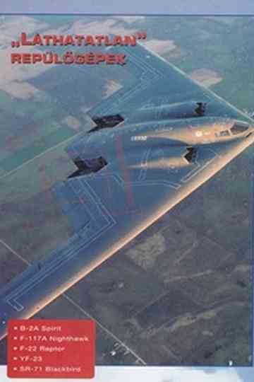 Combat in the Air  Stealth Warplanes
