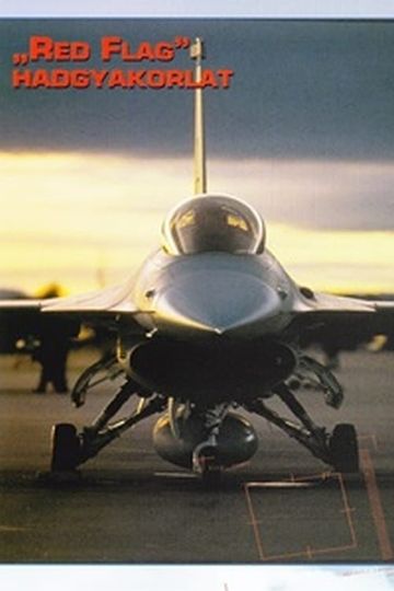 Combat in the Air  Red Flag