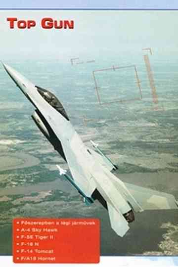 Combat in the Air  Top Gun