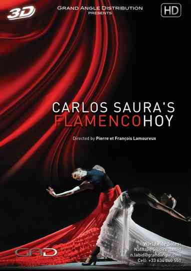 Carlos Saura's FlamencoHoy Poster