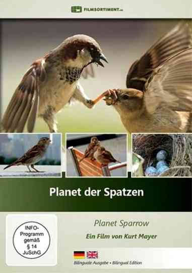 Planet der Spatzen poster